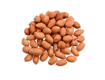 China Peanuts